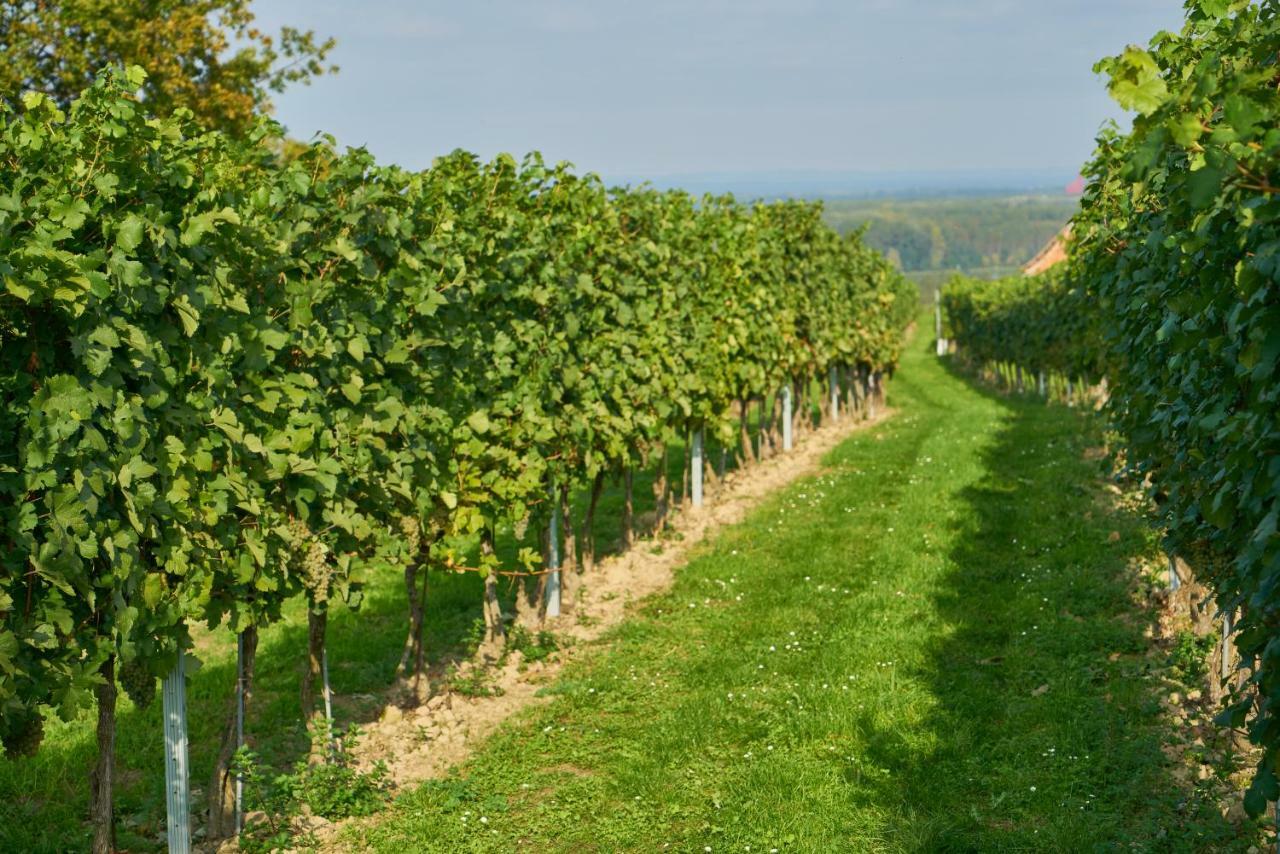 Weinhof - Gaestehaus Maier Angern Eksteriør billede